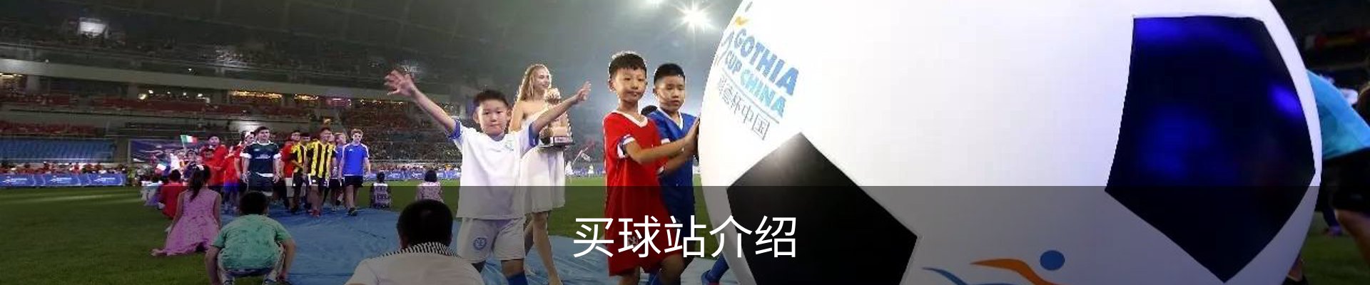 买球站介绍